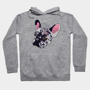 Spotted French Bulldog Hoodie